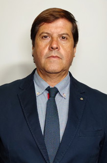 MARIO SOTO