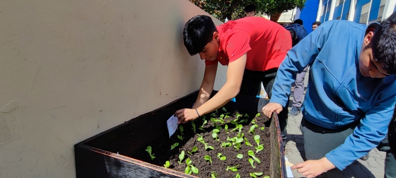 Experiencia del &quot;Buen Samaritano&quot;: Alumnos de 3° medio &quot;A&quot; Crean Huerta Orgánica